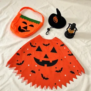 Halloween Pumpkin Cape Costume Set with Treat Bag Witch Hat and Lantern Porch Goose Decor
