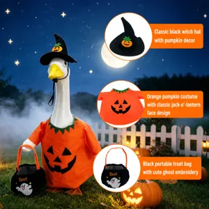 Halloween pompoen geest heksenhoed mantel en tas kostuum set voor gazon tuin gans standbeeld