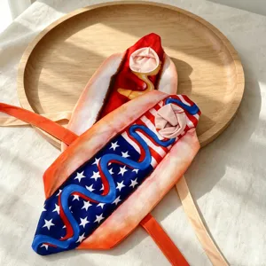 Joli costume de hot-dog pour oie de porche, drapeau américain et saucisse classique vue principale.