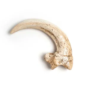 Resin vulture claw pendant necklace accessory animal bone skull Halloween DIY jewelry making part