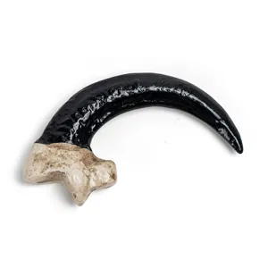 Resin vulture claw pendant DIY necklace accessory gothic bone tooth skull charm for jewelry making