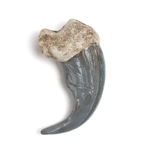 Gros plan détaillé de pendentif griffe en résine courbée grise, finition lisse, texture réaliste.