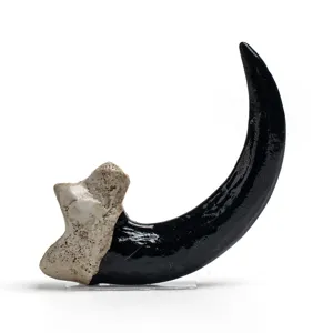 Detailed close-up of a black resin claw pendant with bone base, ideal for DIY necklaces.