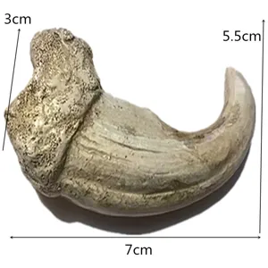 Gros plan détail de la griffe en résine montrant la texture et les dimensions exactes.