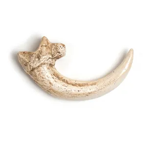 Resin vulture claw pendant necklace accessory animal bone skull talisman charm decor