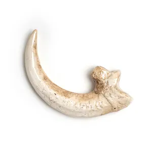 Resin vulture claw pendant animal skull necklace accessory gothic amulet DIY jewelry craft item