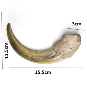 Harz Ameisenbaer Klauen Replika Skulptur Tier Knochen Anhaenger DIY Schmuck Zubehoer