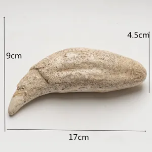 Resina replica dente di orso delle caverne artigianato ciondolo collana accessorio fossile 17cm
