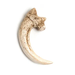 Resin vulture claw pendant, animal bone imitation necklace accessory for DIY jewelry crafting.