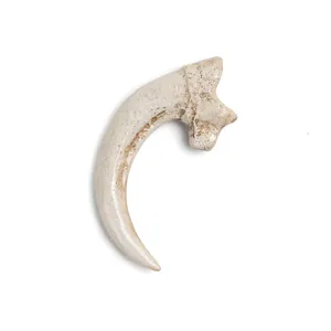 Resin vulture claw pendant detail shot, realistic bone texture craft accessory for necklace DIY.