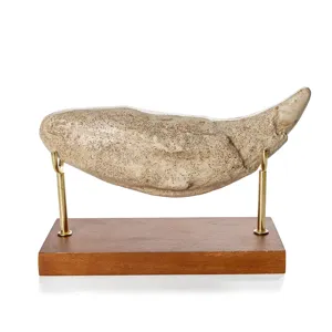 Dettaglio replica dente di orso in resina, con scultura animale su base in legno e metallo.