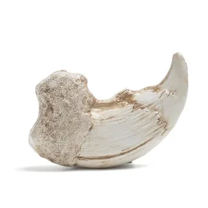 Detailaufnahme der Tierkralle aus Harz, Antik-Fossil-Stil DIY Halskette Anhänger Handwerk.