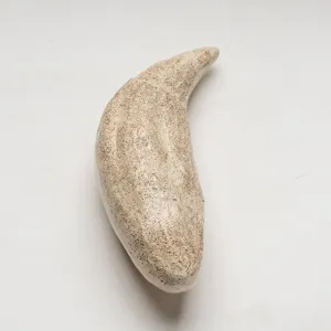 Dettaglio del dente animale in resina artificiale, replica fossile strutturata per collane.