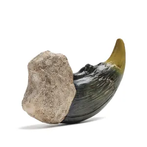 Harz Tierkralle Fossil Nachbildung Handwerk Dekoration fuer Halskette Anhaenger Deko.