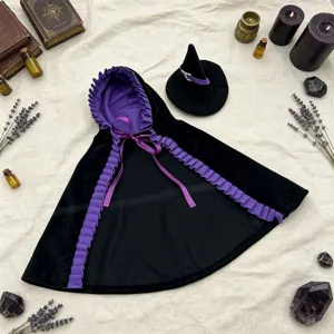 Halloween schwarzer und lila Samtumhang mit Hexenhut für Gänsefigur, gruseliges Haustierkostüm.