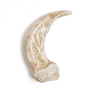 Resin sloth bear claw pendant detail close-up, gothic animal tooth necklace accessory.