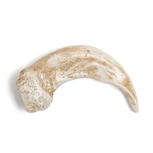 Resin animal claw pendant replica realistic tooth necklace DIY jewelry accessory decor