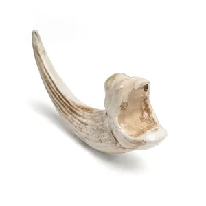 Resin claw pendant detail shot, vintage bone texture carving, gothic animal tooth charm.
