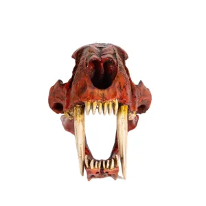 Modèle de crâne de tigre à dents de sabre en résine accessoire squelette d'animal