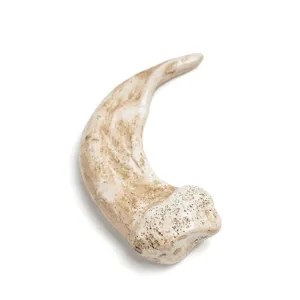 Resin animal claw pendant replica, realistic fossil tooth necklace accessory for DIY crafts.