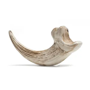 Resin animal claw pendant necklace accessory DIY craft vintage bone texture charm
