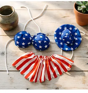Set di vestiti per oca da veranda del Giorno dell'Indipendenza americana con cappello e gonna.