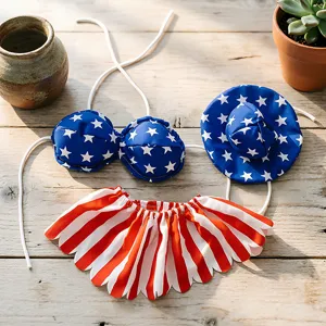 Set costume per oca da veranda patriottico con bikini stellato e cappello per decorare il giardino.