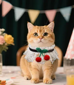 Cute pet lace collar with cherry detail, sweet cat scarf and dog dress-up accessory for daily wear.