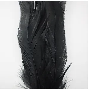 Close-up of black feathers, perfect for vintage 1920s Gatsby headbands and craft projects.