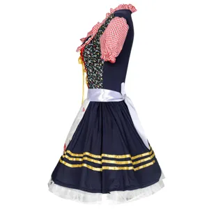 Traditional German Oktoberfest dirndl dress with red gingham sleeves and floral bodice for women.
