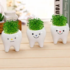 Pots de plantes en céramique en forme de dent mini herbe verte décor de bureau créatif