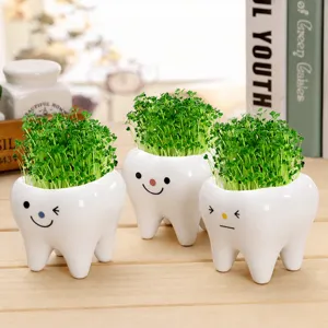 Joli Pot de Fleurs en Céramique Forme Dent Mini Plante Verte Bureau Ornement Créatif En Pot
