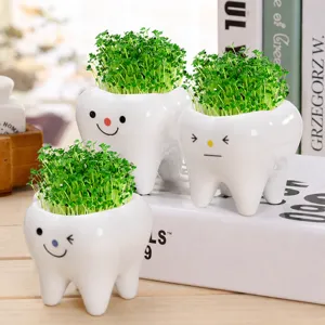 Joli pot de fleur en céramique en forme de dent avec mini plante d'herbe verte pour le bureau