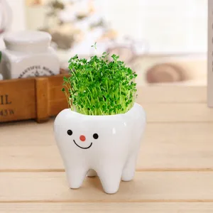 Joli pot de fleurs en céramique en forme de dent, mini plante de bureau pour déco maison.
