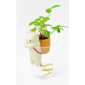 Cute cat self watering plant pot desktop mini green plant creative gift mini flower pot