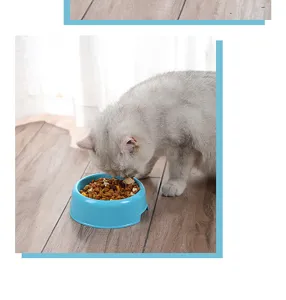 Plastic pet feeding bowl detail scene showing a cat eating food comfortably on wooden floor.