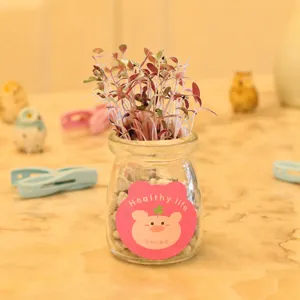 Mini desktop potted plant in clear glass jar with cute pig sticker and fresh green sprouts.