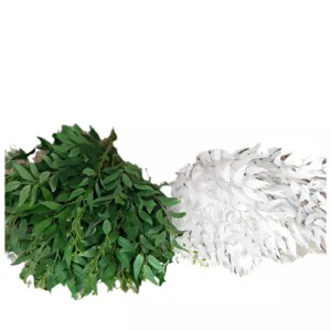 Artificial willow leaf bunch for wedding decoration, green and white silk foliage plants.