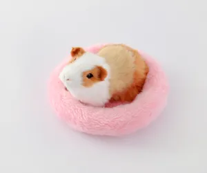Peluche porcellino d'india con lettino rosa soffice, tappetino caldo per piccoli animali.