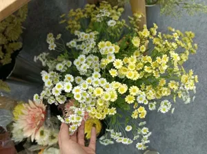 Close-up detail of artificial chamomile flower bouquet, white and yellow faux daisy floral decor.