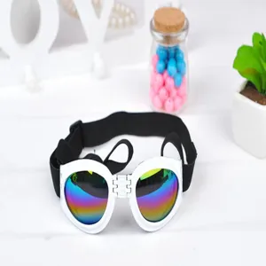 Detailansicht faltbarer Haustier-Sonnenbrille mit bunten Gläsern und verstellbarem Band.