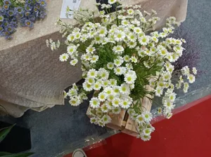 Detailed view of artificial chamomile bouquet featuring white daisy flowers and green stems.