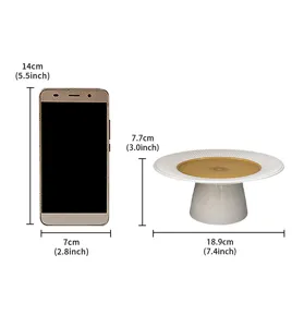 Modern minimalist ceramic cake stand with white ray texture and gold center display.