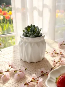 Plante succulente artificielle dans un pot en ceramique geometrique blanc deco.