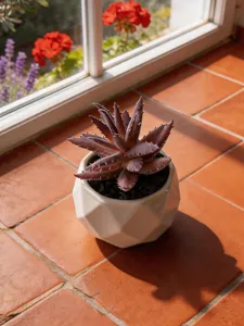 Gros plan détaillé d'une plante succulente artificielle dans un pot en céramique blanche.