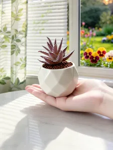 Gros plan d'une succulente artificielle dans un pot en céramique géométrique blanc en main.