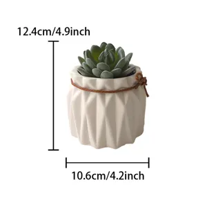 Gros plan de la plante succulente artificielle dans un pot en céramique blanche et dimensions.
