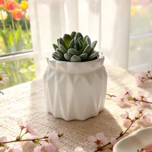 Plante succulente artificielle dans un pot ceramique blanc geometrique pour la decoration.
