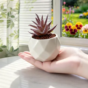 Plante succulente artificielle en pot en céramique géométrique blanche pour décoration