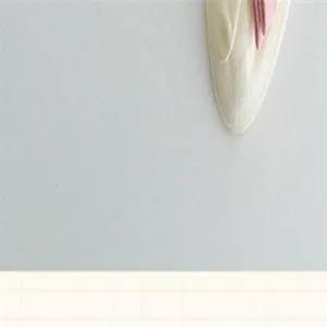 White mesh slouch socks for women, summer breathable mid-tube socks with pink bow detail.